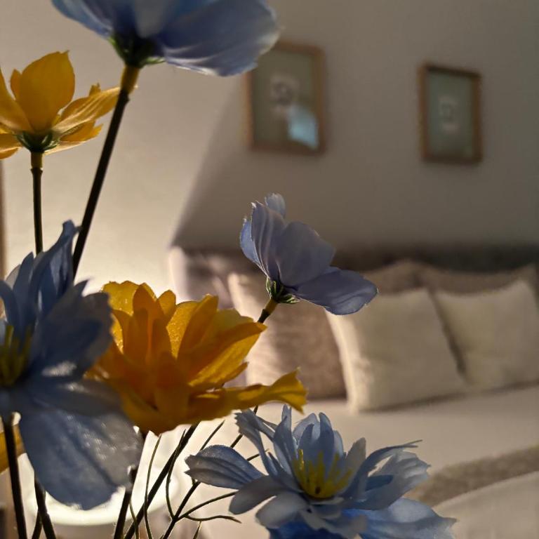 Apartment Old Stone - Apartman sa 1 Spavaćom Sobom - 1