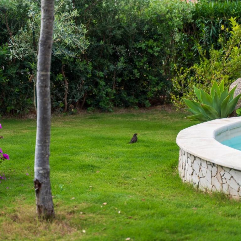 Rey Palma House 400 m dal mare piscina esclusiva - Casa con 2 Camere da Letto - 45