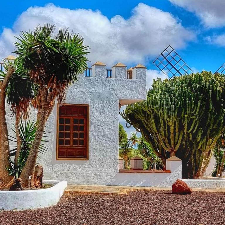 Casa Mo Stor - Oasis Duna - Pools view - Apartamento de 1 dormitorio - 35