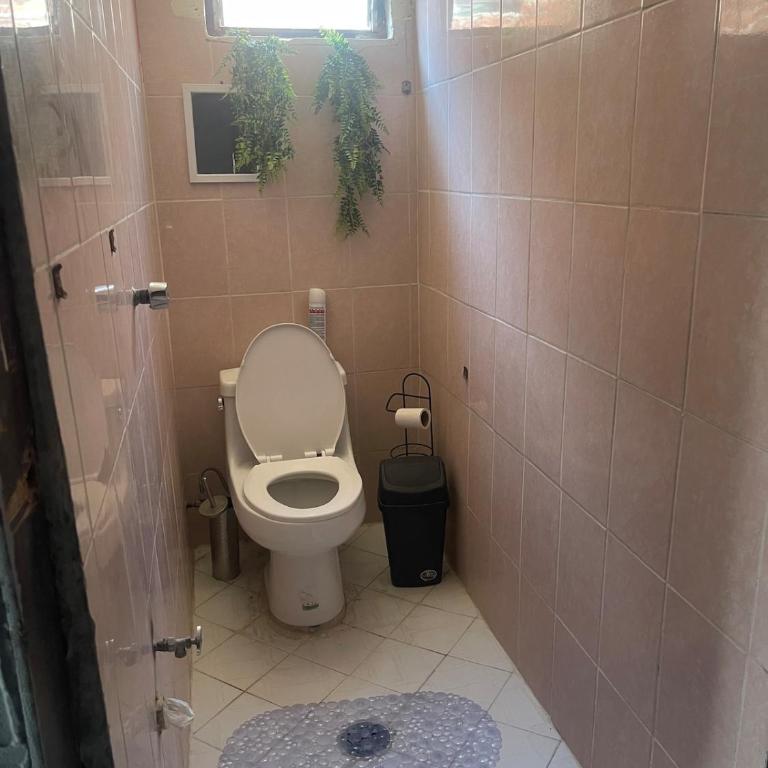 Departamento Central Camionera - Apartamento de 2 dormitorios - 16