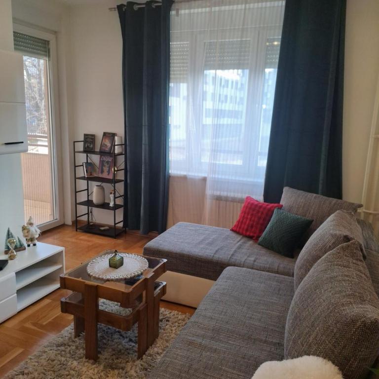 Nika Apartments Vracar - One-Bedroom Apartment - 3
