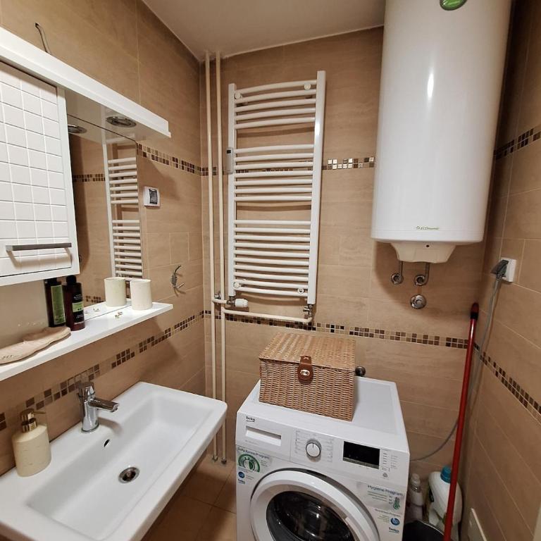 Nika Apartments Vracar - One-Bedroom Apartment - 21
