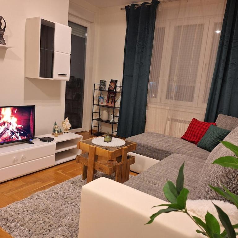 Nika Apartments Vracar - One-Bedroom Apartment - 6