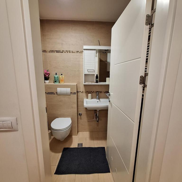 Nika Apartments Vracar - One-Bedroom Apartment - 19