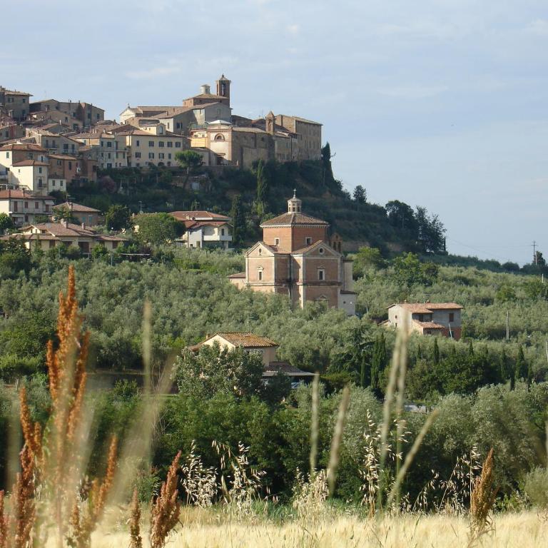 Le Ginestre Arte Vacanze - Appartamento - 16