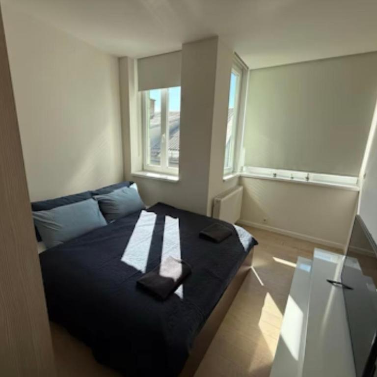 Deluxe Ferhadija Apartment - Apartman sa 2 Spavaće Sobe - 6