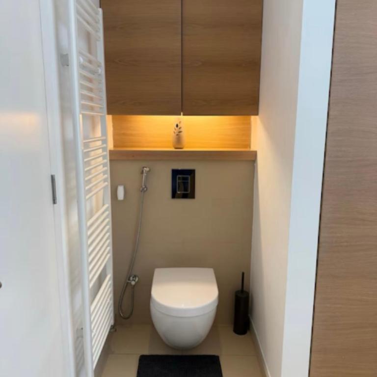 Deluxe Ferhadija Apartment - Apartman sa 2 Spavaće Sobe - 10