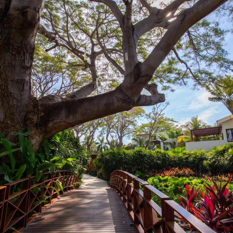 Elegance - Jungle meet with private pool heated - Apartamento - 10