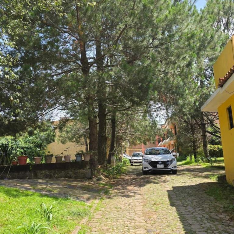 Mazamitla Villas Buenos Aires Lupita - Bungalow con patio - 30