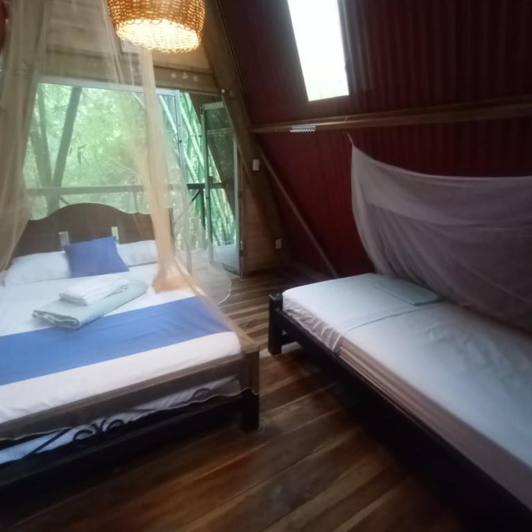 Hostal Las Mariposas Minca - Chalet - 1