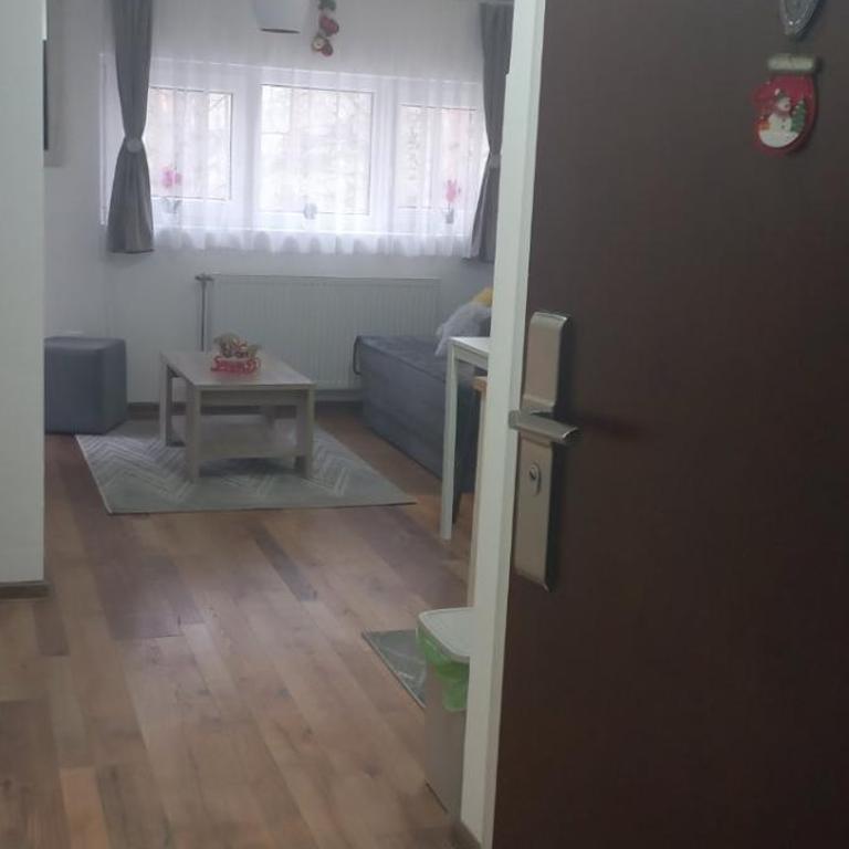 Apartman Anđela i Aleksa Divčibare - Apartman sa 2 Spavaće Sobe - 20