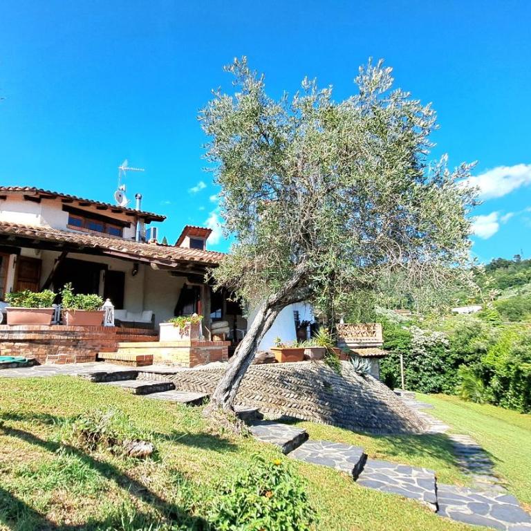 Veranda, a dream villa, with big private pool close to the beach - Villa mit privatem Pool - 8