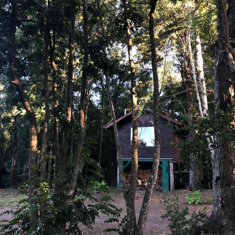 Santos del Valle - One-Bedroom House - 2