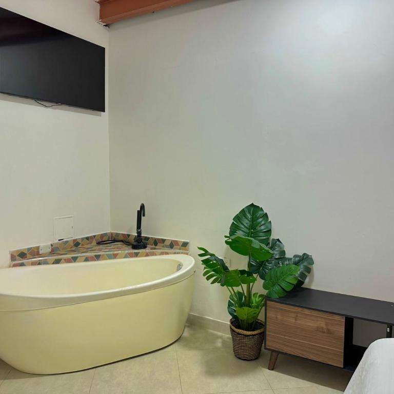 Hotel Victoria Caps - Single Room - 7