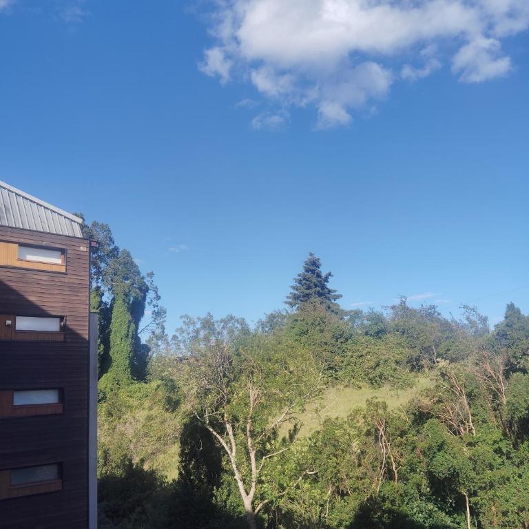 Depto premium 2D2B con parking y cerca del Lago - Two-Bedroom Apartment - 16