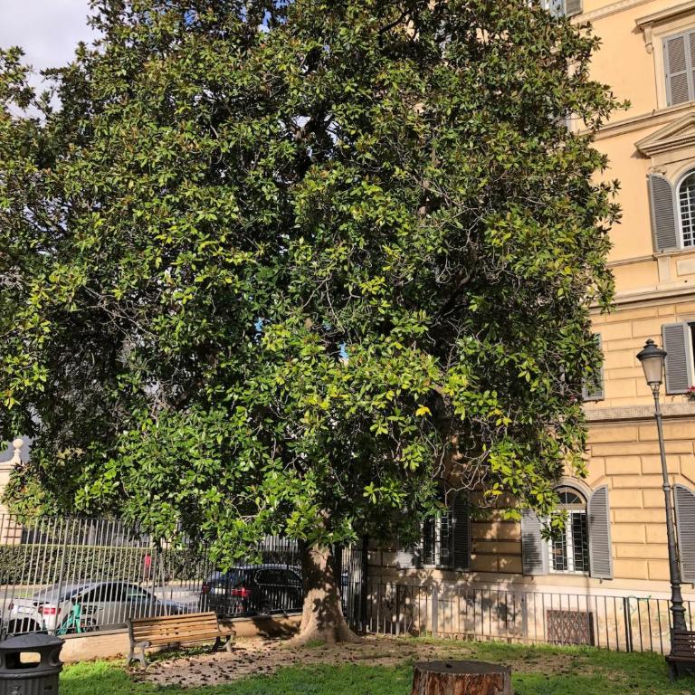 Casa di Diocleziano - Appartamento con 2 Camere da Letto - 25