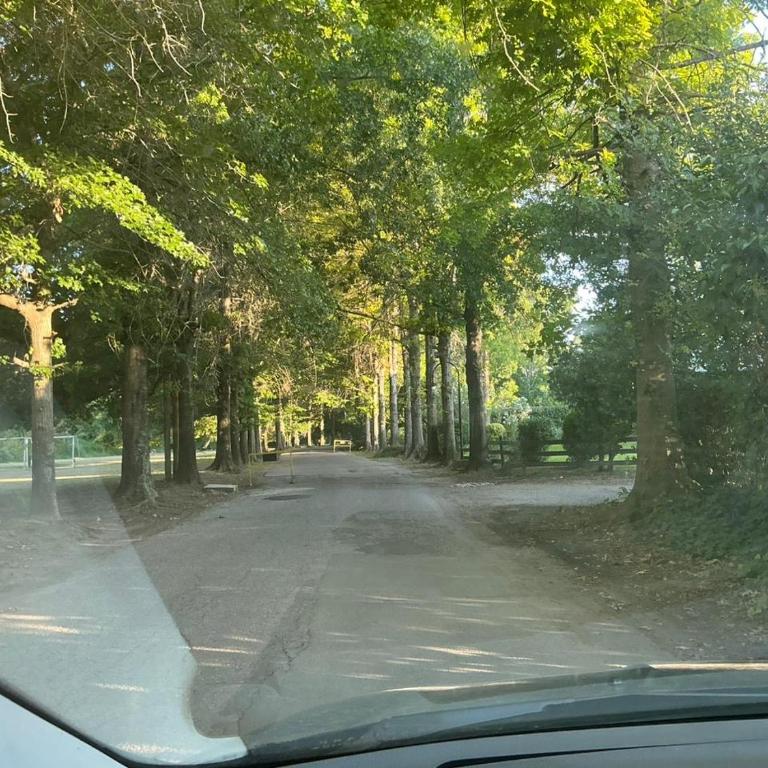 A pasos de Panamericana I Palmas y Torres del Sol I Barrio cerrado - Casa de 4 dormitorios - 3