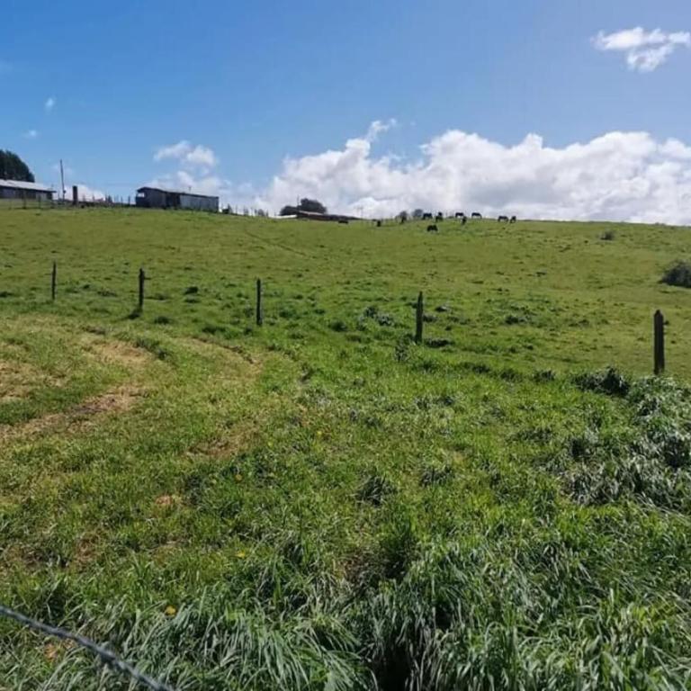 Osorno cabin in the peace of the countryside - Two-Bedroom House - 6