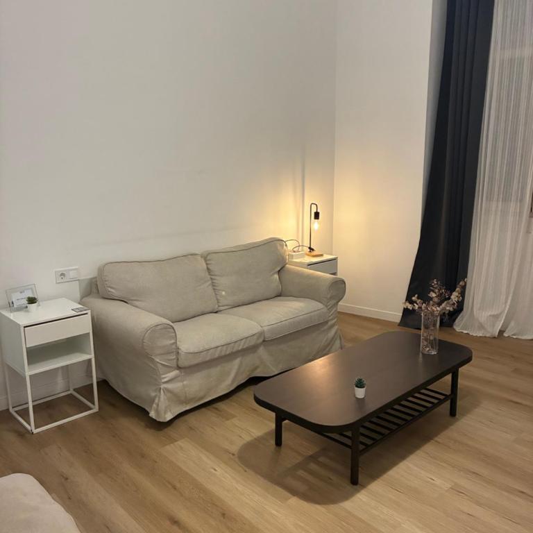Gran apartamento Larios - Apartamento - 15