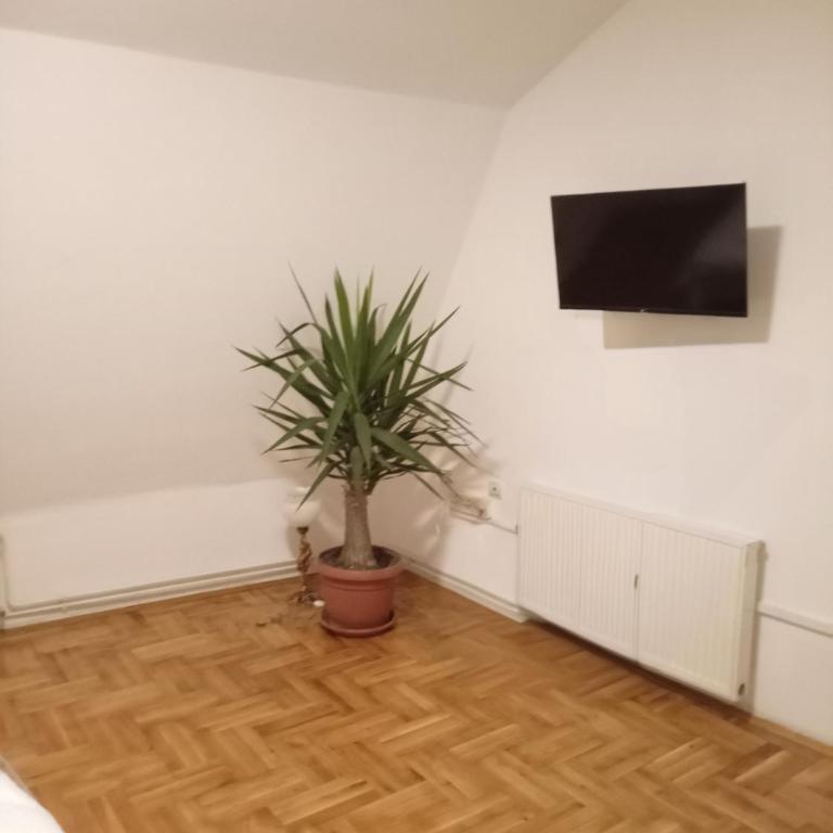 Bella Notte apartments - Strogi centar, terasa, brzi Wi-Fi - Deluxe Studio - 17