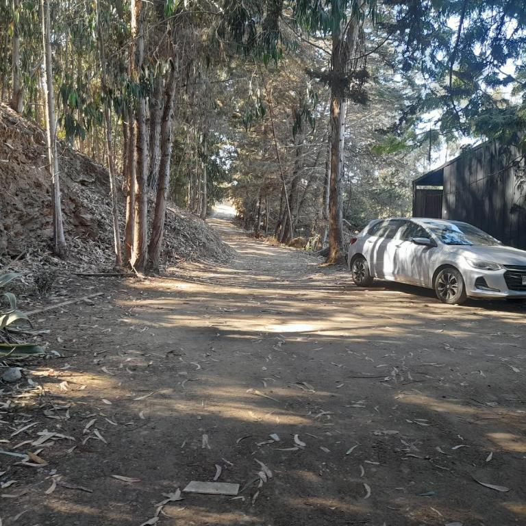Casa en laguna Pichilemu - Three-Bedroom House - 4