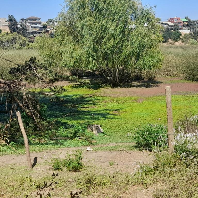 Casa en laguna Pichilemu - Three-Bedroom House - 12