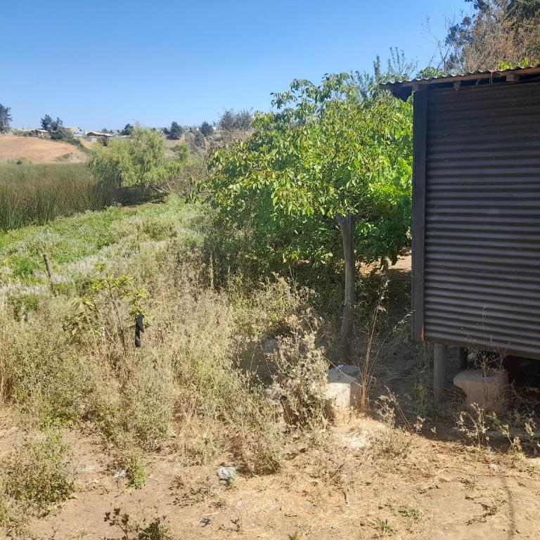 Casa en laguna Pichilemu - Three-Bedroom House - 14