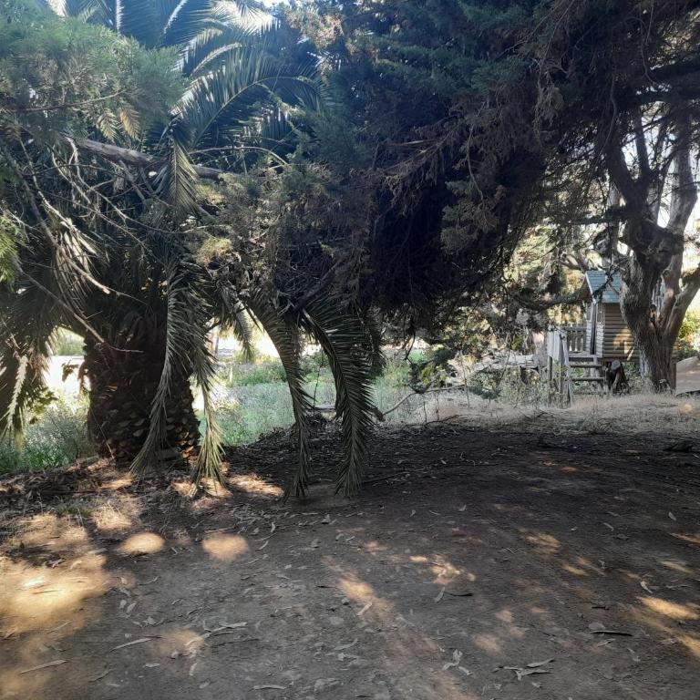 Casa en laguna Pichilemu - Three-Bedroom House - 15