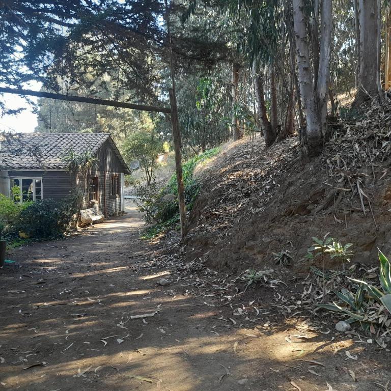 Casa en laguna Pichilemu - Three-Bedroom House - 21