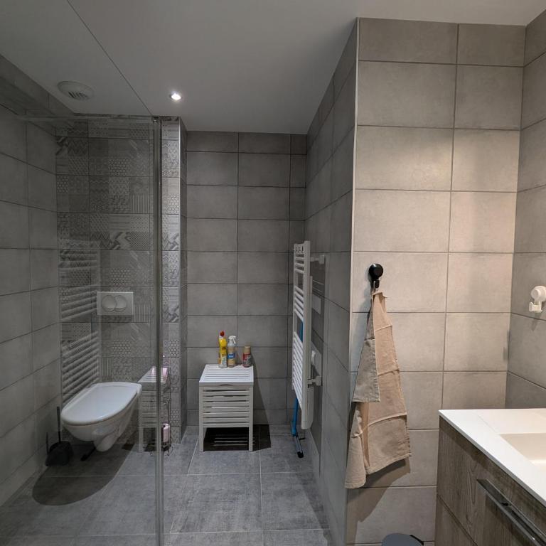 Appartement cocooning au cœur des Hautes-Vosges avec terrasse et parking privé - FR-1-589-841 - Appartement - 8