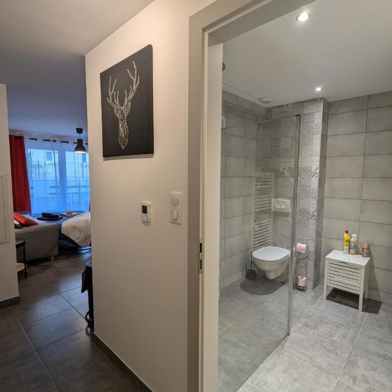 Appartement cocooning au cœur des Hautes-Vosges avec terrasse et parking privé - FR-1-589-841 - Appartement - 9