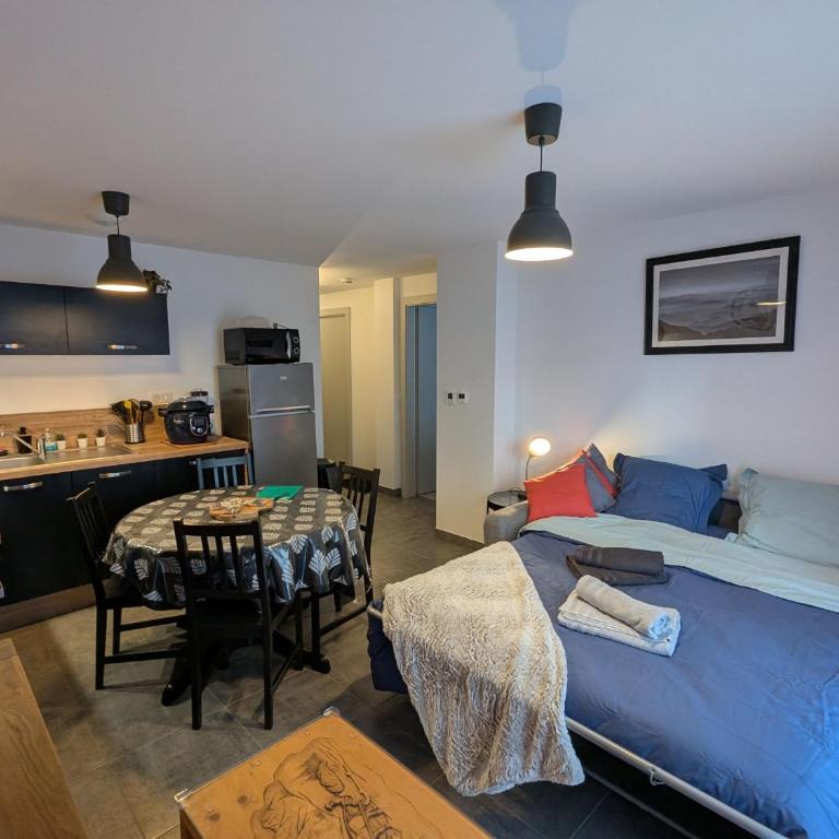 Appartement cocooning au cœur des Hautes-Vosges avec terrasse et parking privé - FR-1-589-841 - Appartement - 17