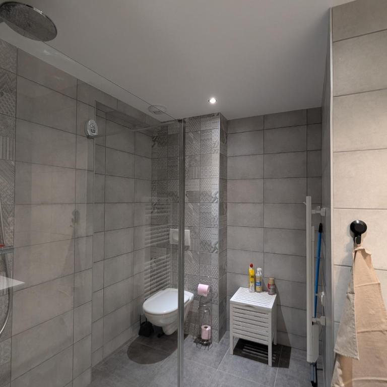 Appartement cocooning au cœur des Hautes-Vosges avec terrasse et parking privé - FR-1-589-841 - Appartement - 23