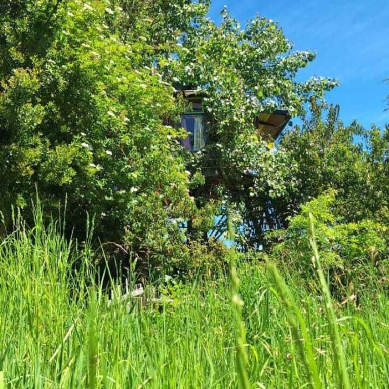 Espacio Los Revellines - Chalet - 3