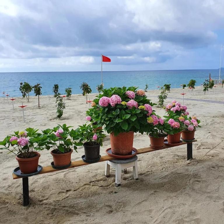 Relaxed Coastal Stay in Pietra Ligure - Appartamento con 1 Camera da Letto - 19