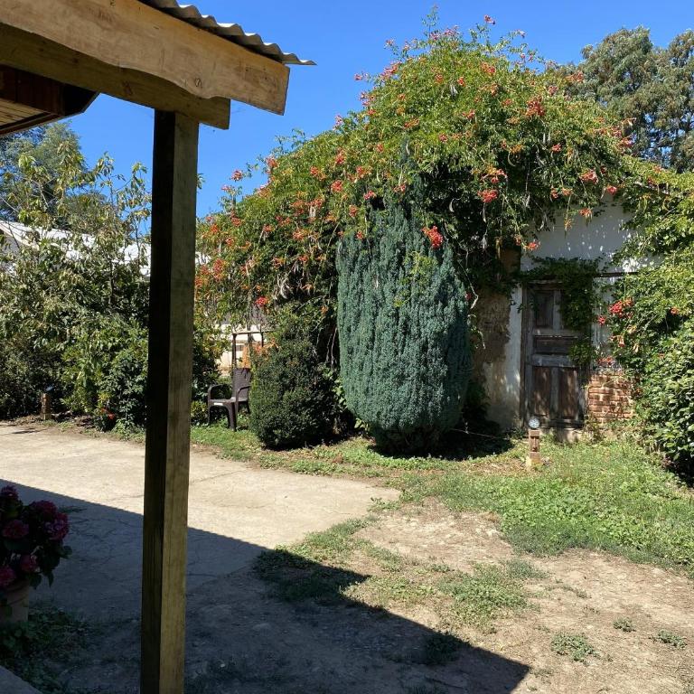 Cabañas Anny 1 - Two-Bedroom Apartment - 12