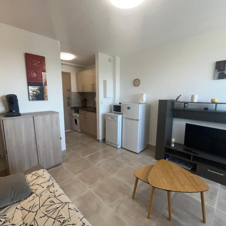 Studio confortable proche plage, animaux admis - FR-1-338-637 - Apartment - 7