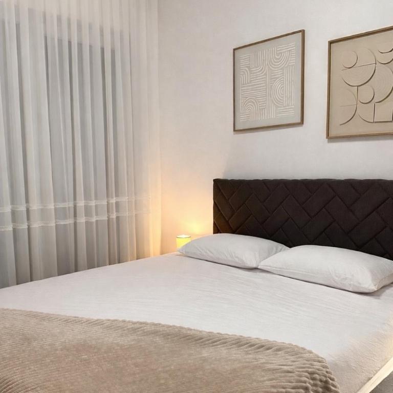 Azure Teuta apartment with balcony - One-Bedroom Apartment - 1