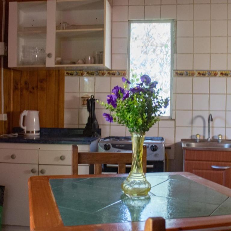 Cabañas Los Culenes - One-Bedroom House - 4