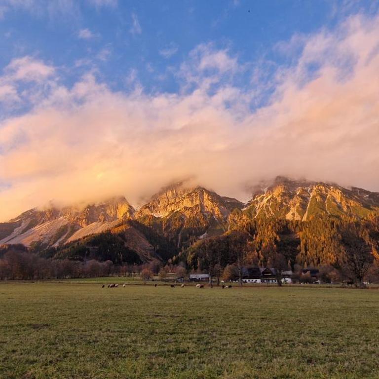 Bergidyll Ramsau Top7 - Appartement 1 Chambre - 21