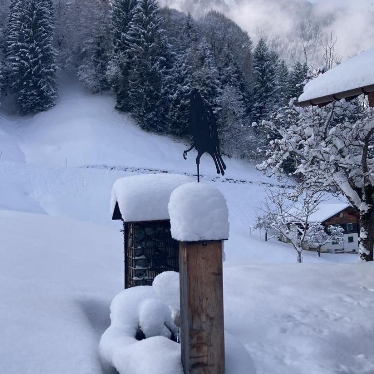 Bergmomente Montafon Ferienhaus Bitschweil - Ferienhaus - 2