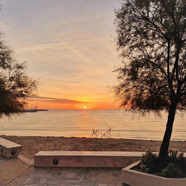 LV100-017 Appartement Studio cabine 4 couchages LE LAVANDOU - Studio with Pool View - 15