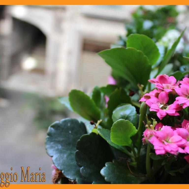 B&B Alloggio Maria - Camera Quadrupla - 24