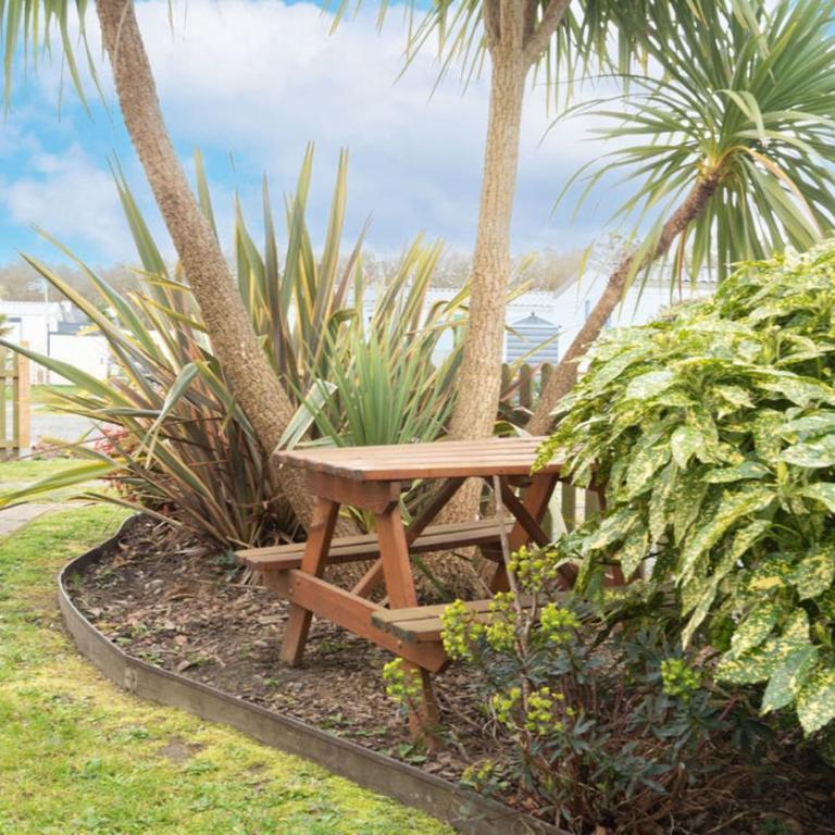 Bois d'amour - Piscine - Terrasse - Mobilheim - 16