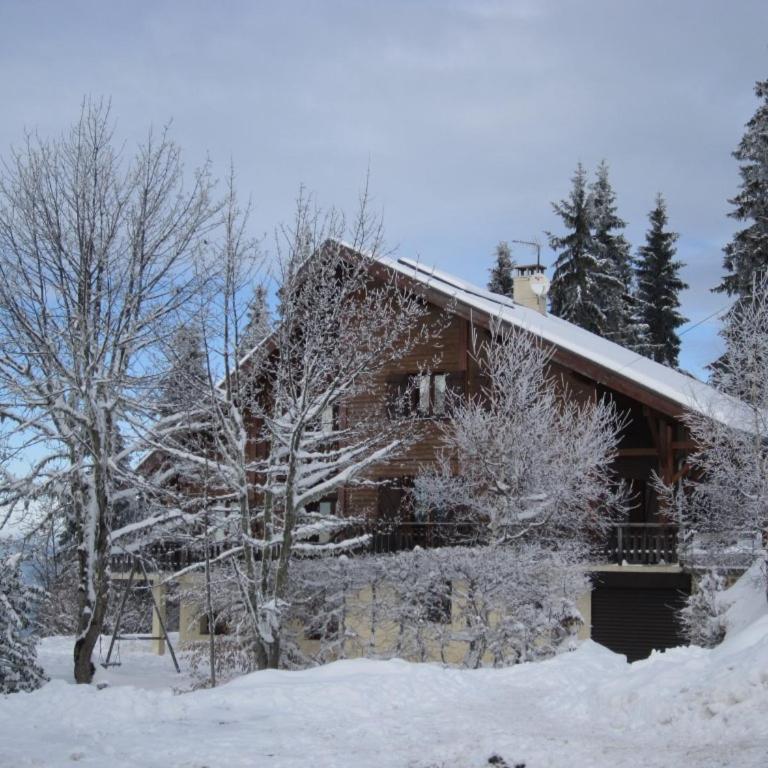 Ski, Spa, Sauna au Chalet Yarelle - Appartement 3 Chambres - 1