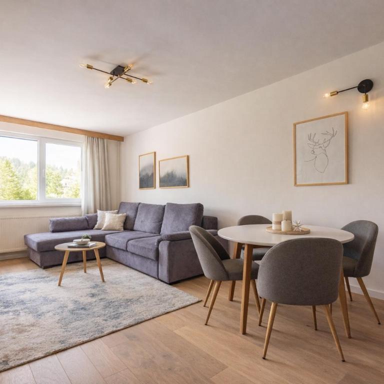 Olimpijska kuća A206 - Apartman sa 1 Spavaćom Sobom - 1