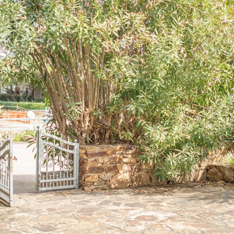 Oasi di Luce - Appartamento con 2 Camere da Letto e Vista Giardino - 29