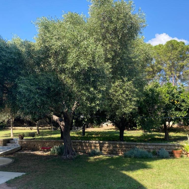 Pink Moon Private Luxury Villa Secluded Garden 5 Bedroom 4 en suite Bathrooms with Private Pool CAT 6 WiFi Close to Beach - Villa con Piscina Privata - 17