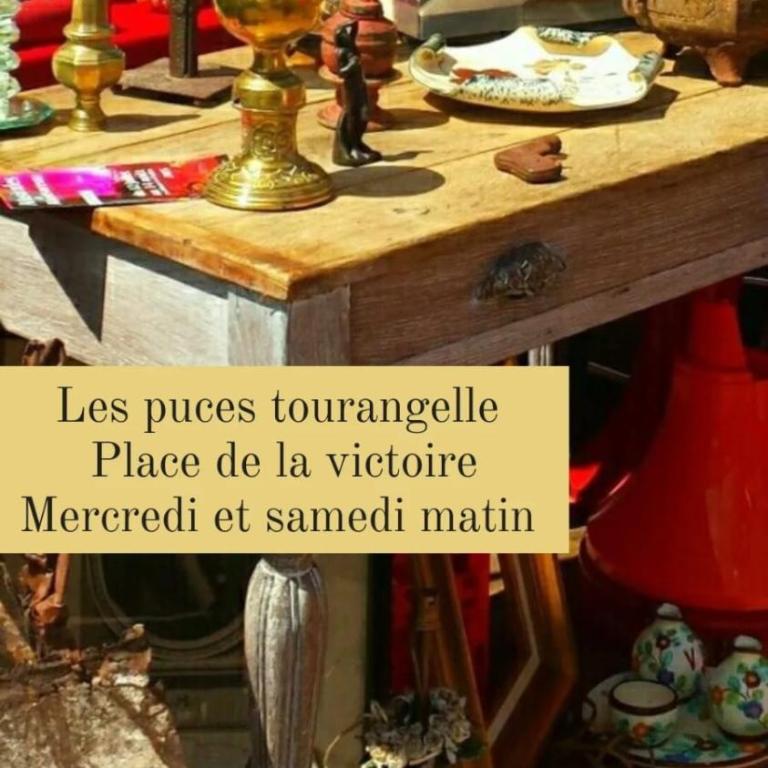 85 l idéal , quiet charm in Tours - Appartement 2 Chambres - 14