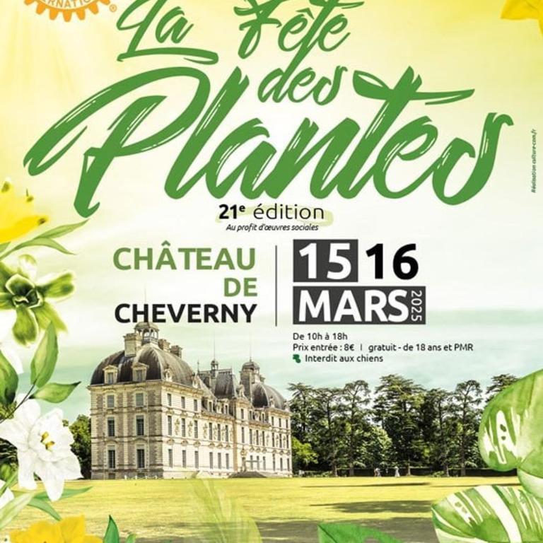 85 l idéal , quiet charm in Tours - Appartement 2 Chambres - 16